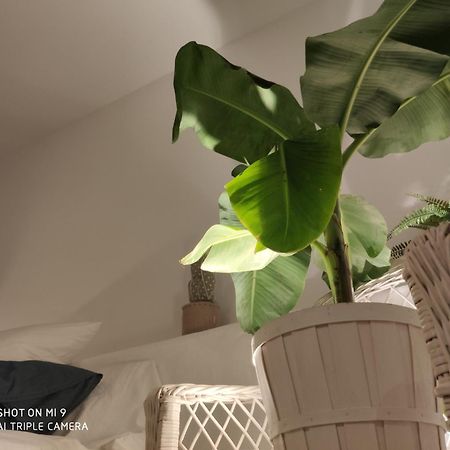 The Best In The Center Of Tarifa Apartment ภายนอก รูปภาพ