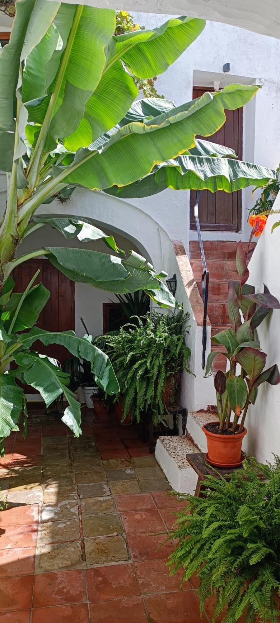 The Best In The Center Of Tarifa Apartment ภายนอก รูปภาพ