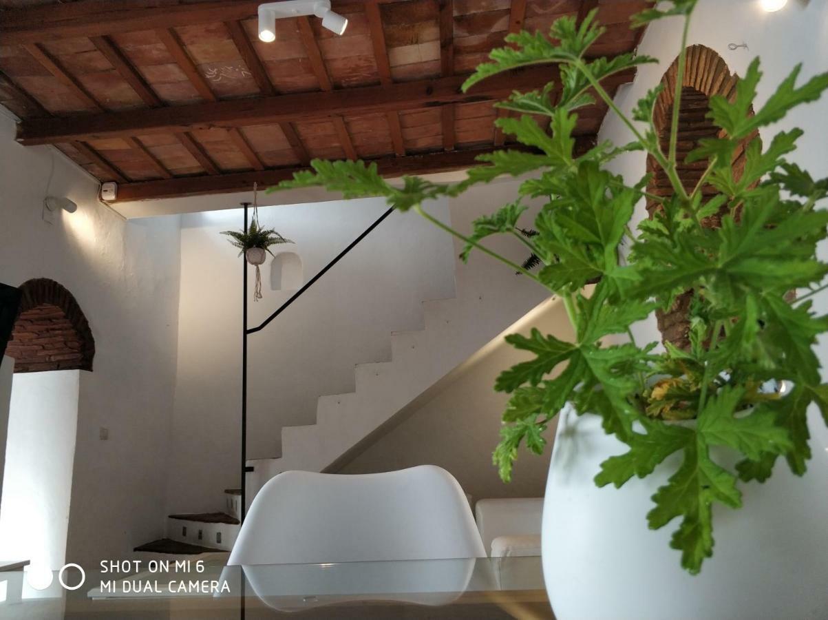 The Best In The Center Of Tarifa Apartment ภายนอก รูปภาพ
